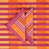Dusk Rug Stripe Napkin (Set of 2)